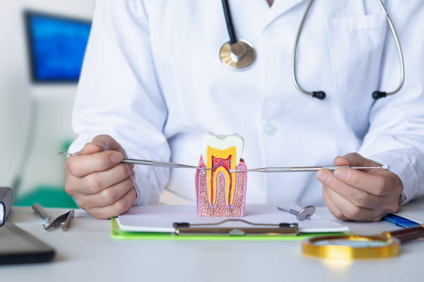 Best Emergency Dental Services for Seniors in Sutter Creek, CA